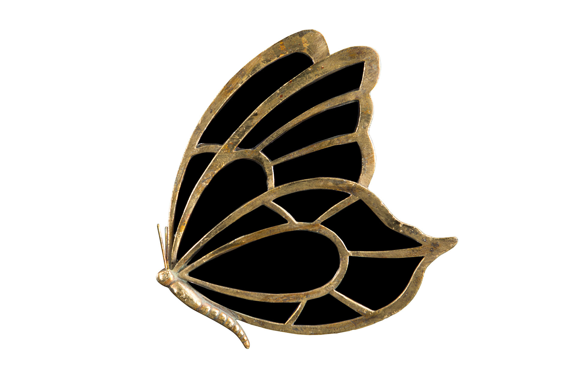 Fjäril Moth