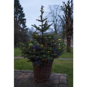 Ljusslinga Diamond Star Light - 80 LED - 6 Meter - Flerfärgad