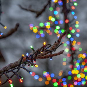 Ljusslinga Flashy - 1500 LED - 30 Meter