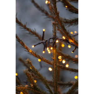 Ljusslinga Golden Warm White - 1200 LED - 24 Meter