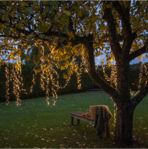 Ljusslinga Shiny WarmWhite - 540 LED - 11 Meter