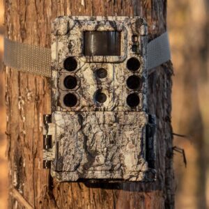 Bushnell Core DS-4K No Glow Trail Camera
