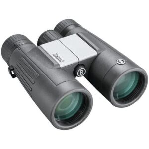Bushnell PowerView 2 10x42 produktbild 1