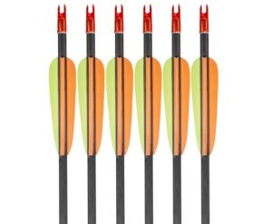 EK Carbonpilar 30 tum 6-pack