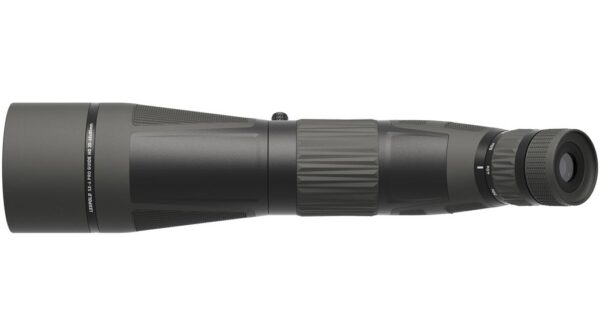 Leupold SX-4 Pro Guide HD 20-60x85 Angled