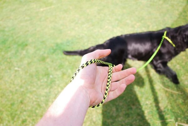 Runlock DogLeash hundkoppel – 1,8 m, 5 mm, gul/svart