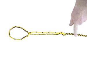 Runlock DogLeash hundkoppel – 1,8 m, 5 mm, gul/svart