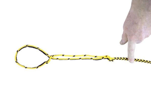 Runlock DogLeash hundkoppel – 1,8 m, 5 mm, gul/svart