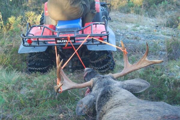 Runlock Pro Hunting jaktset – jaktkoppel och 3,5 m rep