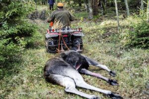 Runlock Pro Hunting jaktset – jaktkoppel och 3,5 m rep